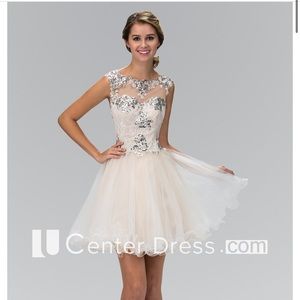 Quince/ homecoming dress